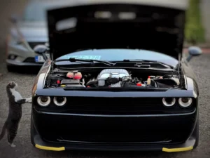Dodge Challanger HellCat_IMG_5393