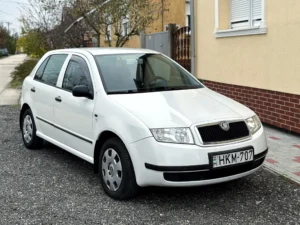 Skoda Fabia HKM (1)