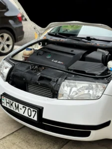 Skoda Fabia HKM (2)