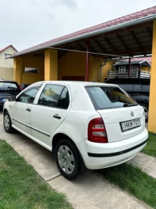 Skoda Fabia HKM (6)