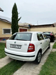 Skoda Fabia HKM (7)