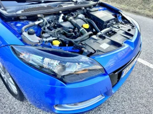 Megane GT-Line AAKL (5)