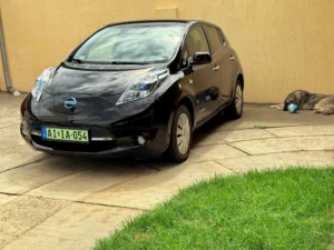 Nissan Leaf AIIA _IMG_0445