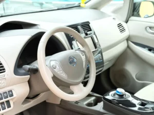 Nissan Leaf AIIA _IMG_0434