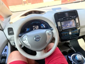Nissan Leaf AIIA _IMG_0429