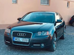Audi A3 P8 (8)