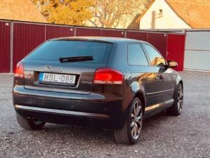 Audi A3 P8 (6)