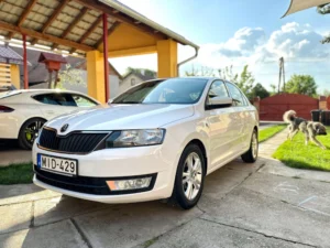 Skoda Rapid MID (1)