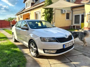 Skoda Rapid MID (16)